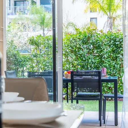 Palm - Swimming Pool - At Few Steps Apartment Cannes